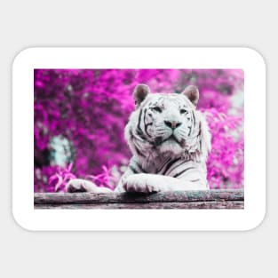 White Tiger (Color Pop) Sticker